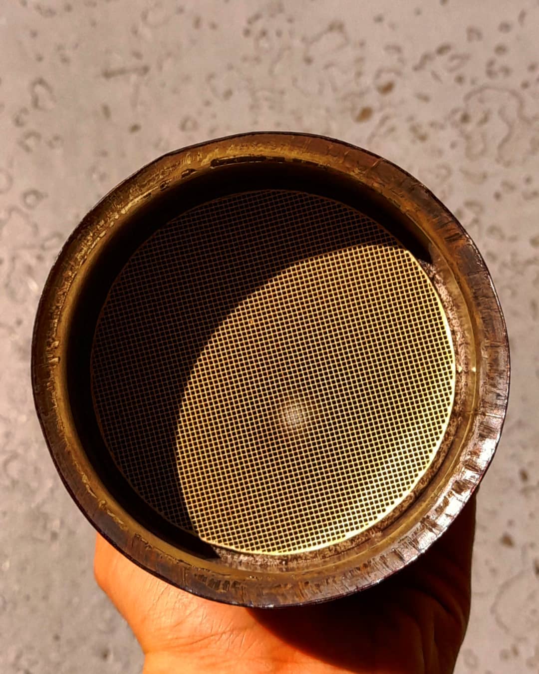 246266603_828076334504995_3593115238706466502_n