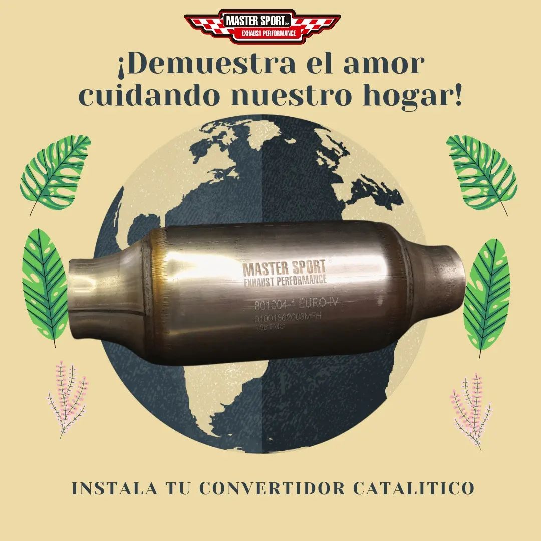 273958545_489653862565863_6731773445348096696_n