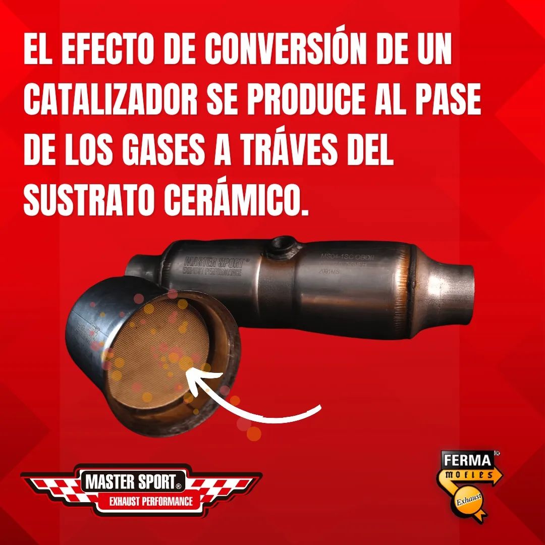 275561756_658738665392722_4885999054831665880_n