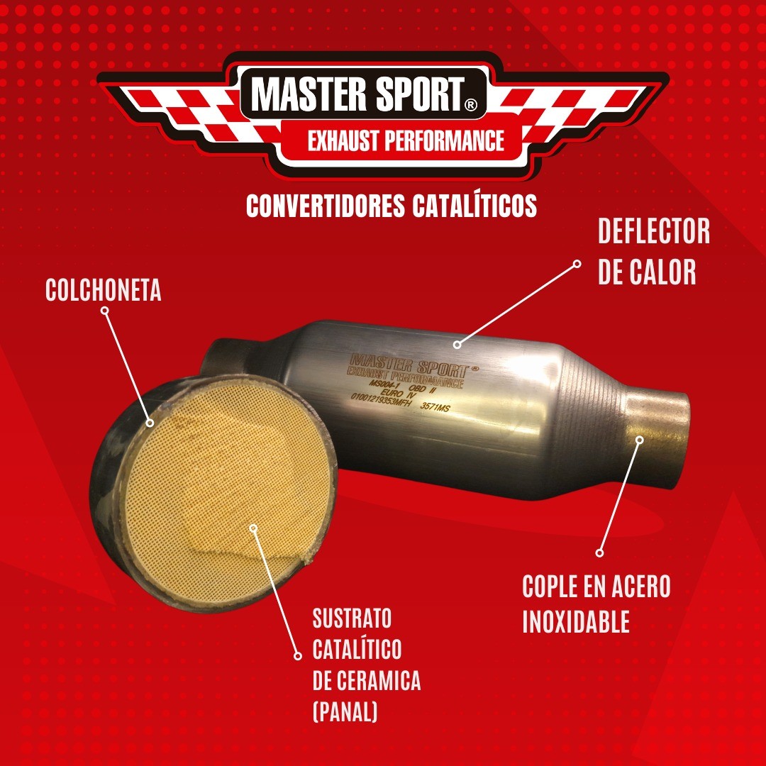 292116403_773197283713679_6652101385734286811_n